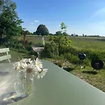 203 Modernes Tiny House An Der Elbe Mit Blick Ins Gruene Casa vacanze
